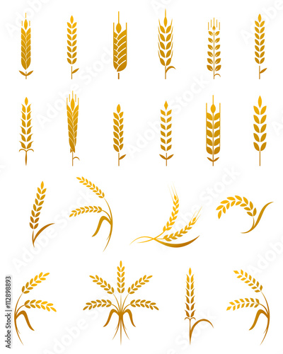 Wheat ear icon set.