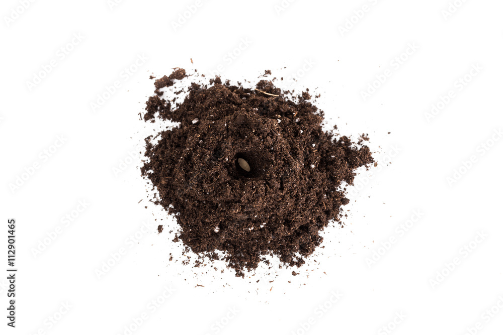 Soil or dirt section isolated on white background Soil or dirt section isolated on white background