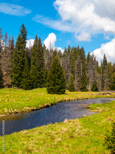 Mountain river on sunny day photo