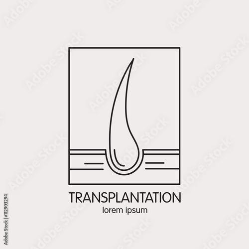 Vector line logo of of hair transplantation