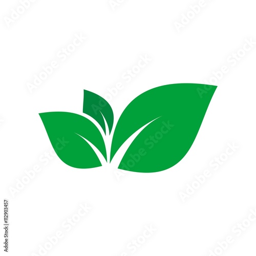 Logo leaf plant icon vector