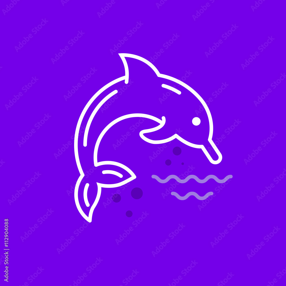 Obraz premium Dolphin