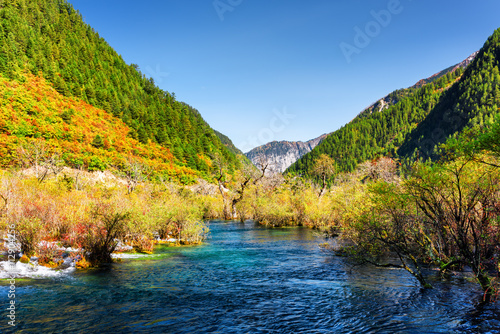 Amazing view of river among colorful fall woods and mountains