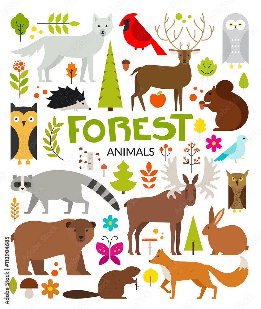 Fototapeta premium Forest Animals