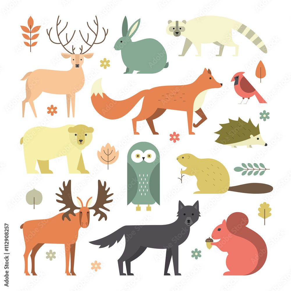 Forest Animals Forest Animals