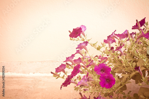 Still life with flowers on wall background - vintage tone