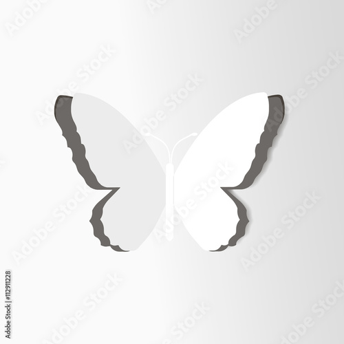 Nice butterfly