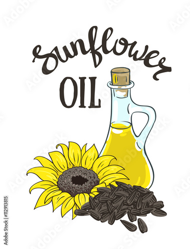 Vector hand drawn yellow sunflower, sunflower seeds and glass jug with oil.