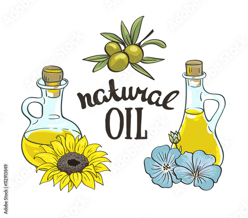 Set of bottles with sunflower, linseed and olive oil. Vector isolated objects.