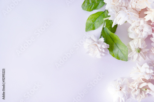 Flower background of Jasmine flowers isolated on white backgroun photo