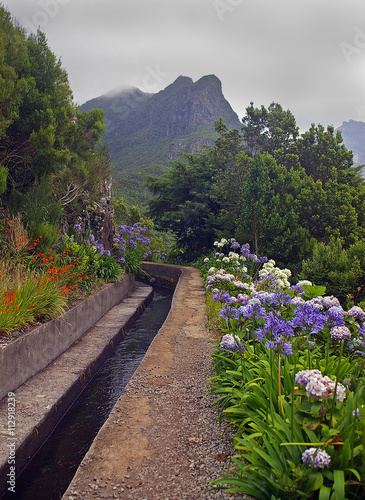 Levada of Madeira.Portugal