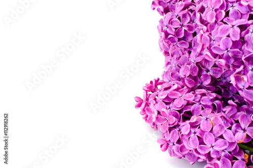 Spring Flowers of Lilac