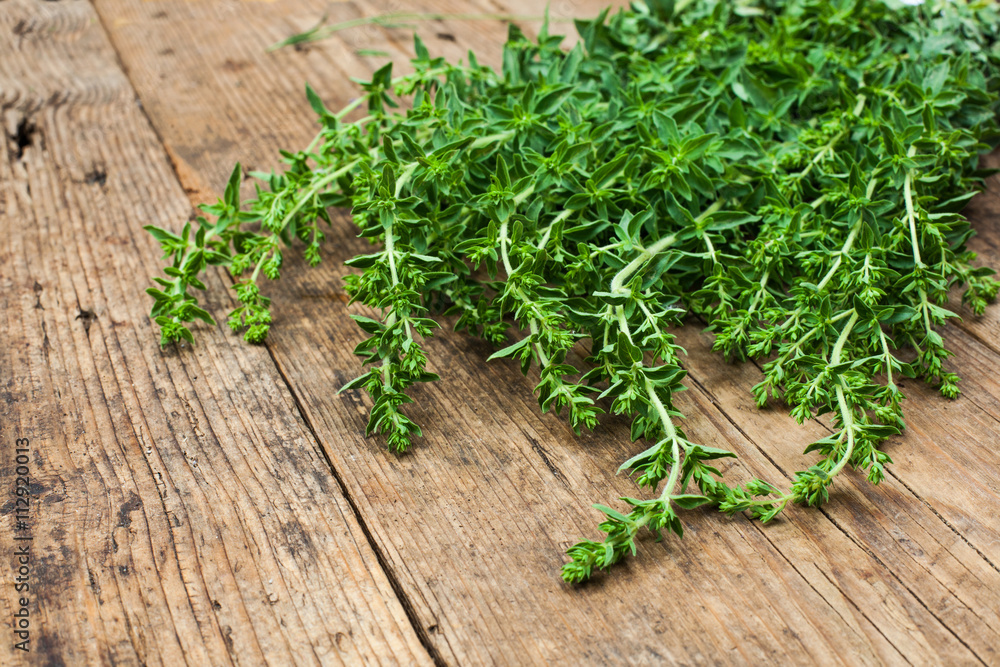 bunch of oregano bunch of oregano