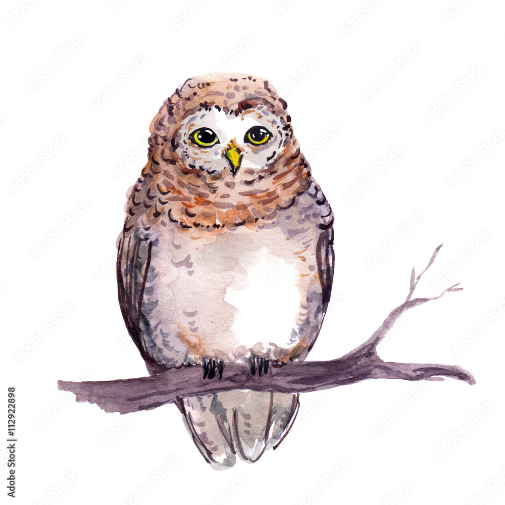Naklejka premium Owl - cute cartoon animal. Watercolor