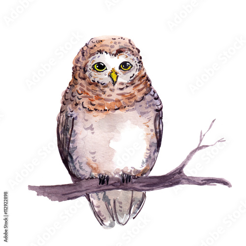 Owl - cute cartoon animal. Watercolor