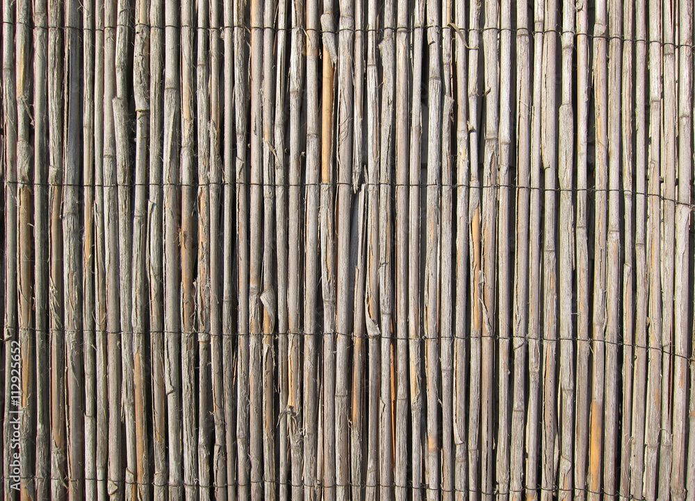 Reed Texture Close Up Reed Texture Close Up