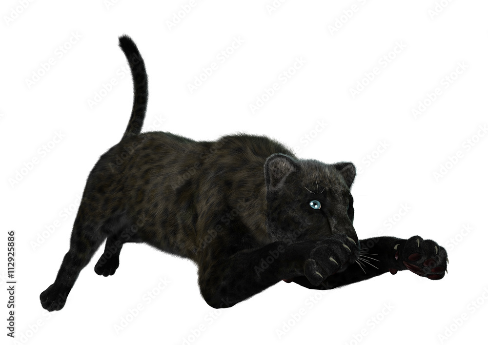 3D Rendering Black Panther on White