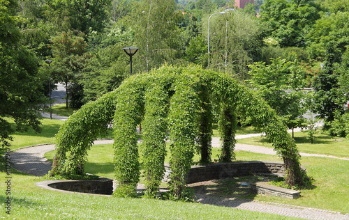 Valokuvatapetti green wicker arbour in the park in summer