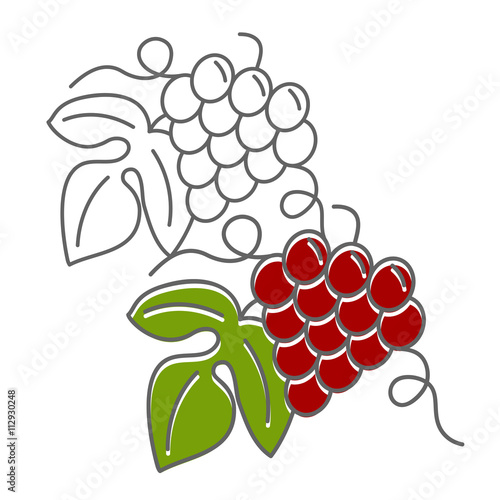 Wine business vector template.