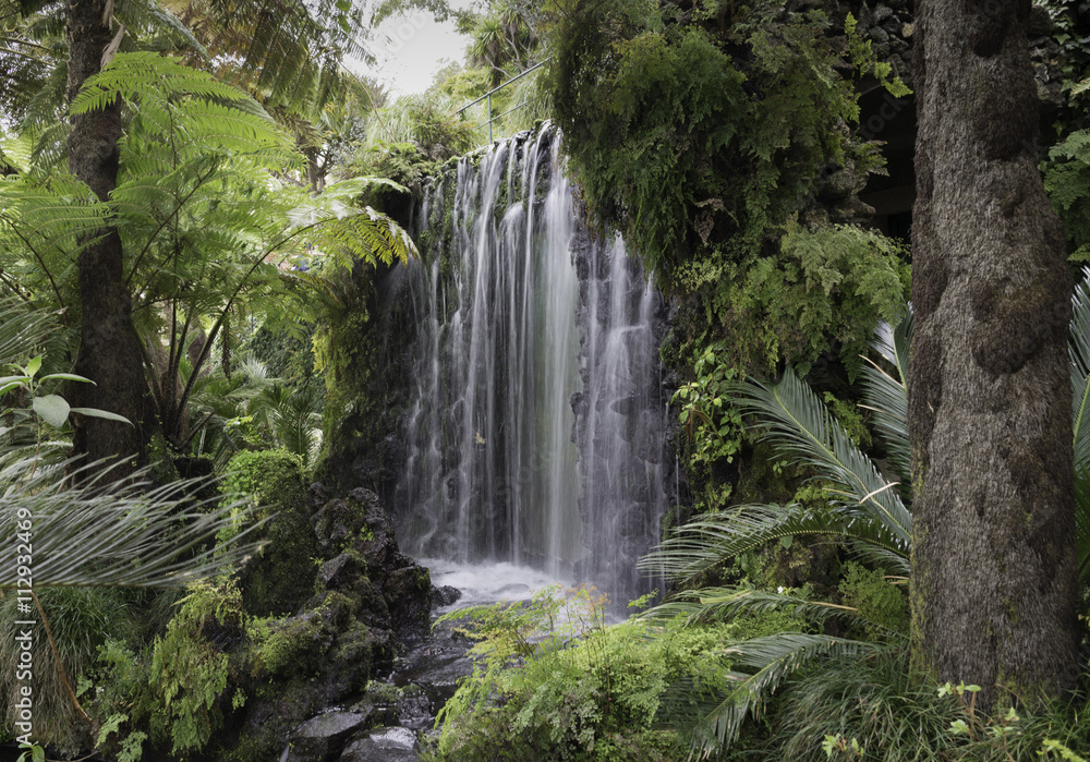 waterfall on madeira island