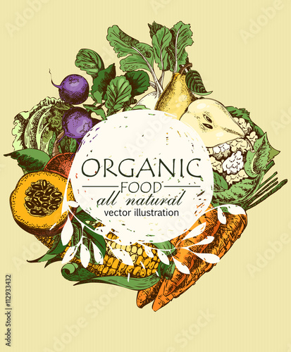 Organic food. Set of vegetables, fruits and spices. Farm meal. Poster. Menu