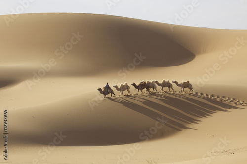 China, Inner Mongolia, Badain Jaran Desert. Local man rides camel at head of caravan. Ellen Anon photo