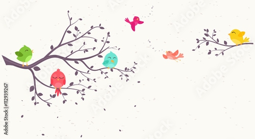 colorful Birds on beautiful trees