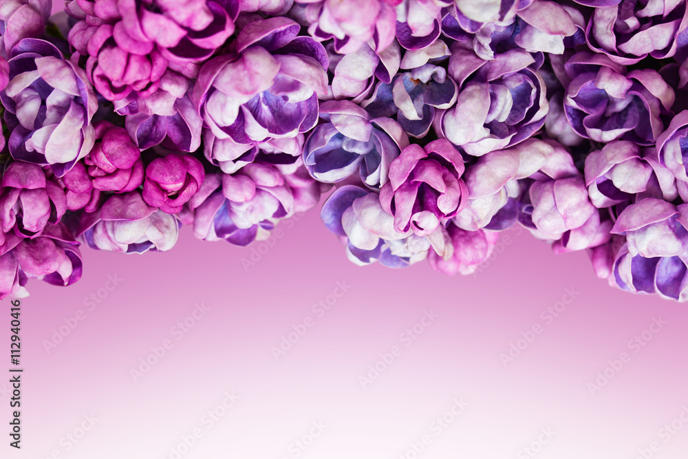 Background with beautiful flowers of lilac.