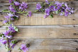 macro of a purple flowers in spring on a wooden table
