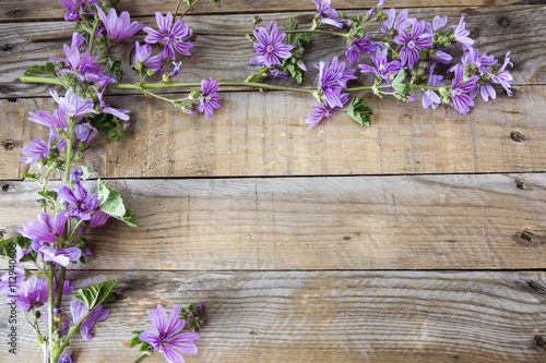 macro of a purple flowers in spring on a wooden table  