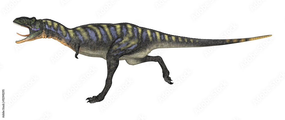 3D Rendering Dinosaur Aucasaurus on White 3D Rendering Dinosaur Aucasaurus on White