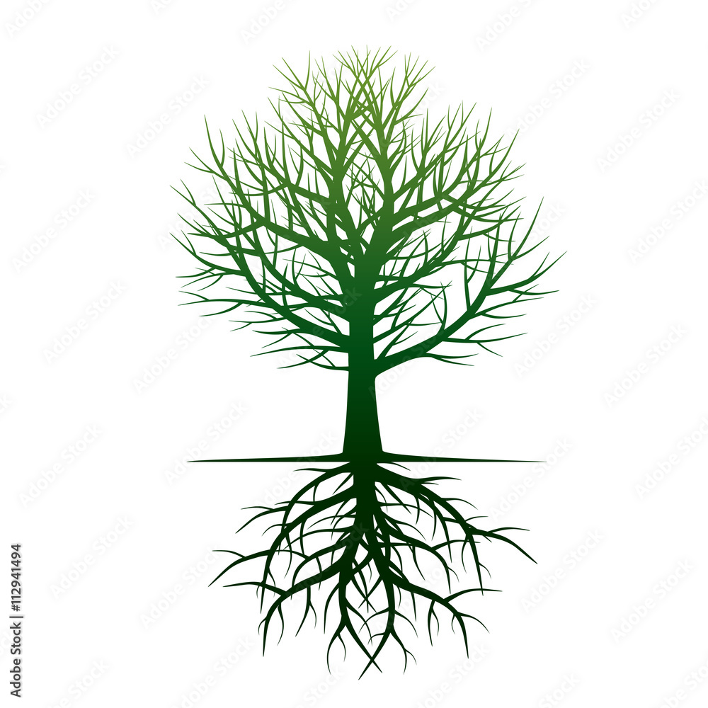 Naklejka premium Shape of Tree and Roots. Vector Illustration.