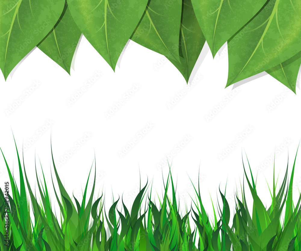 Fototapeta premium Horizontal background with green leaves and grass border and empty space for text. Vector EPS-10.