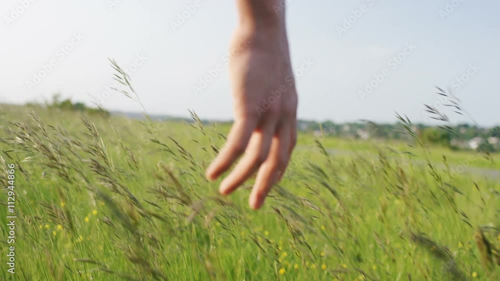 4K Male hand wading through grass sheafs in a meadow, in slow motion 4K Male hand wading through grass sheafs in a meadow, in slow motion
