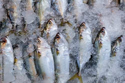 Fresh mackerel in ice at market