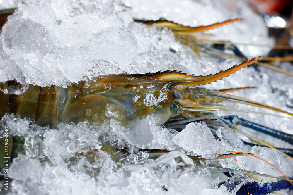 Fresh Shrimp heap with ice at supper market Fresh Shrimp heap with ice at supper market