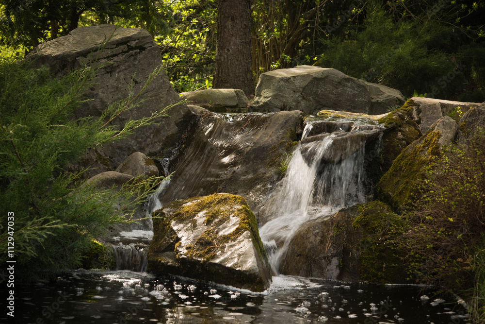 waterfall in the forest at summer