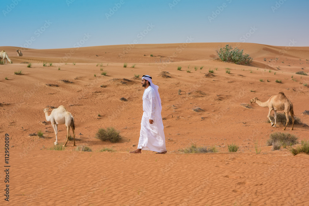 Middle eastern man wearing traditional clothes walking past camels in ...
