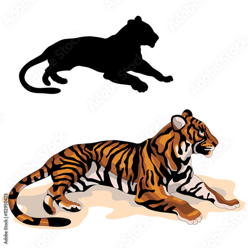 Fototapeta Naklejka Na Ścianę i Meble -  adult tiger is realistic black color silhouette vector illustration