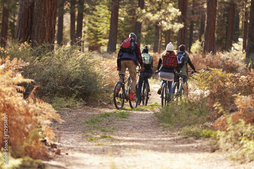 Group of friends riding bikes on a forest trail, back view