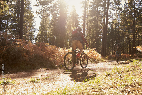 Two cyclists biking on a forest trail, backlit, back view © Monkey Business