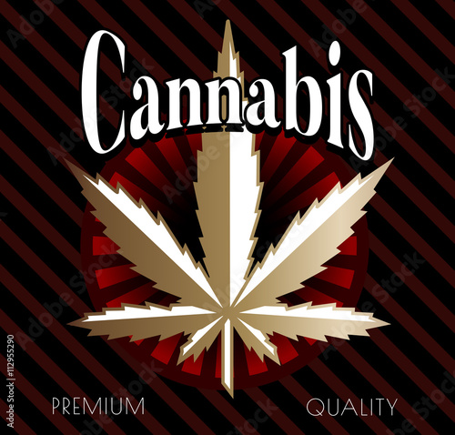 Cannabis leafs vector