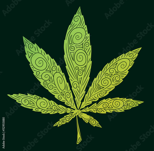 Cannabis leafs vector