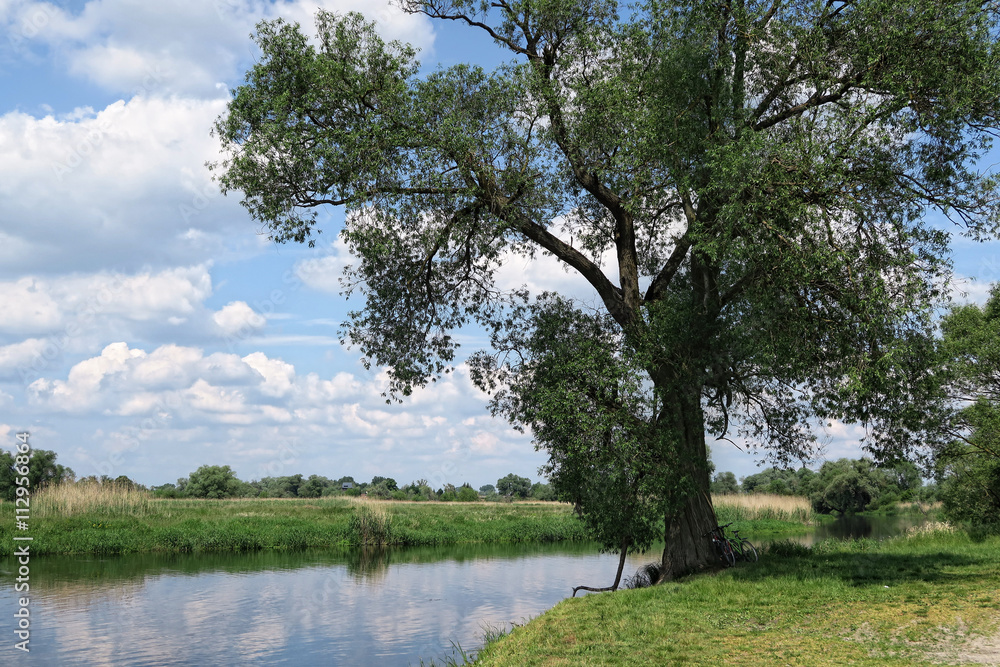 Havel river in summer flowing through Havelland (Brandenburg, Ge Havel river in summer flowing through Havelland (Brandenburg, Ge