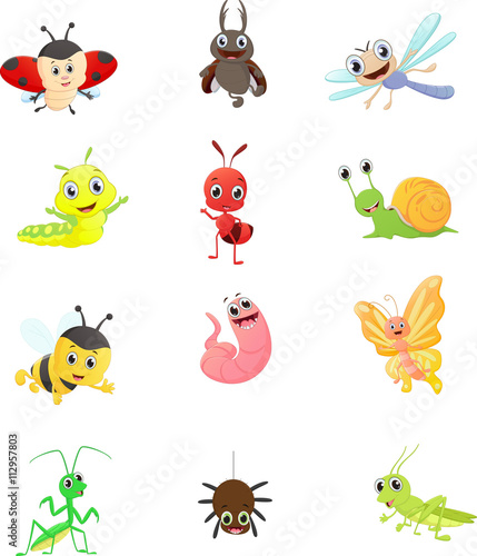 Insect cartoon collection © wisnu_Ds