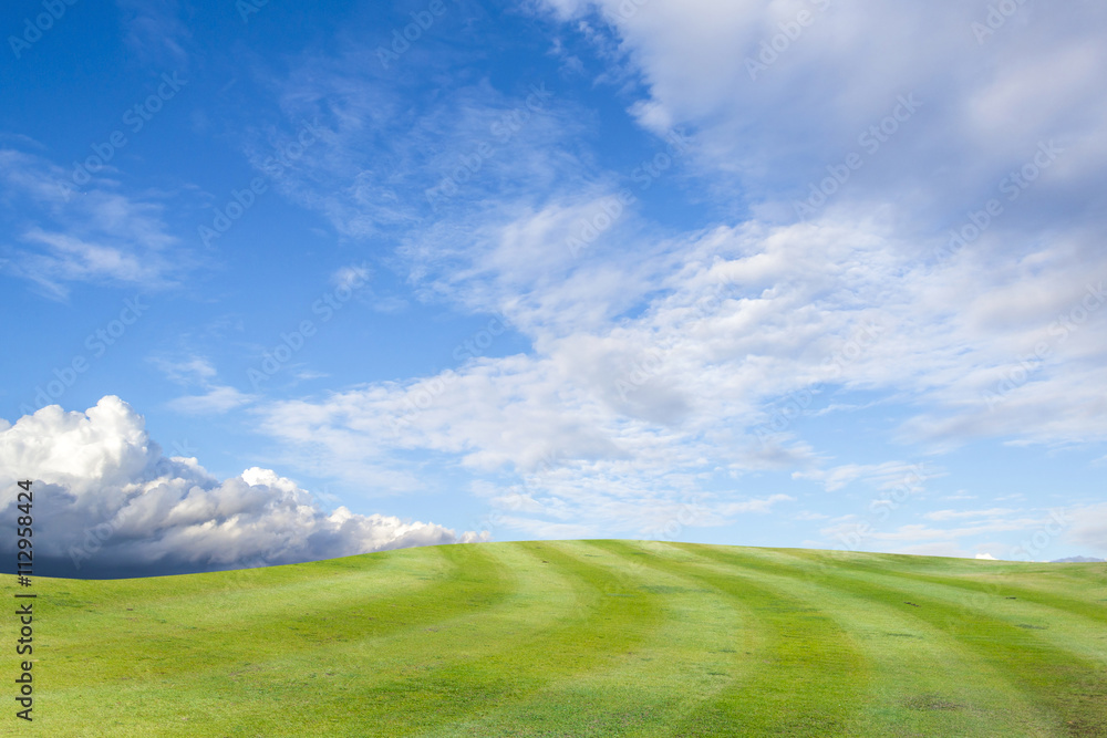 Fototapeta premium golf course - green golf field and sky blue cloud sky