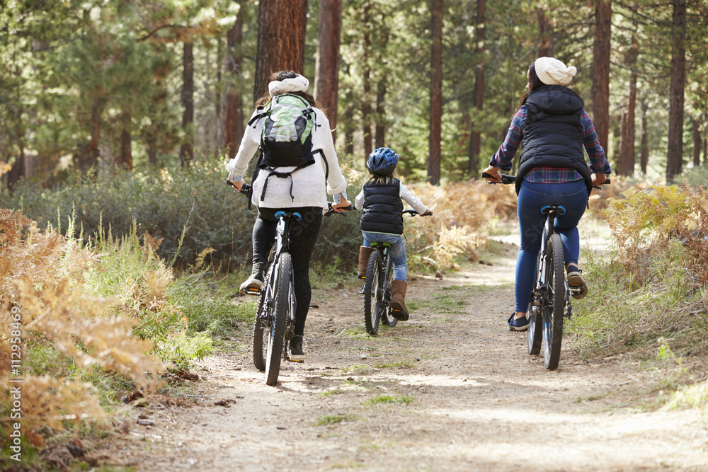 Lesbian couple and daughter cycling in a forest, back view