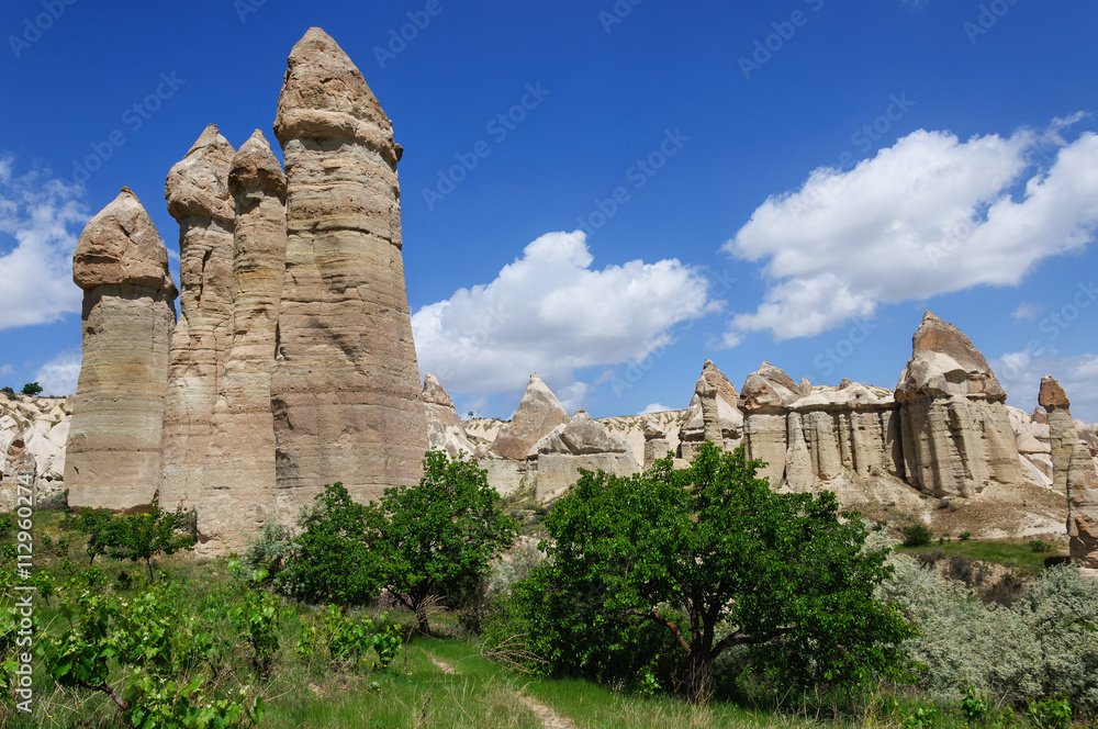 Rocks in form of huge phalli valley Love, Cappadocia, Turkey
