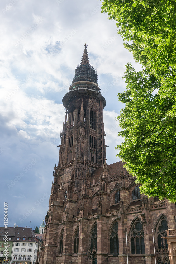 Freiburger Münster in einer Teilansicht 