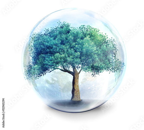 tree in glass ball